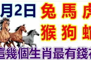 3月2日生肖運勢_兔、馬、虎大吉