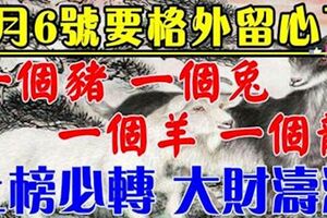 3月6號開始要格外留心了，一個豬，一個兔，一個羊，一個龍