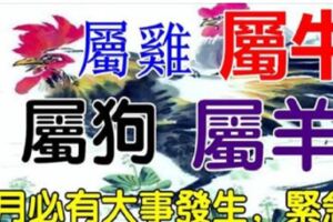 屬狗，屬雞，屬牛，屬羊，4月，必有大事發生，真的准