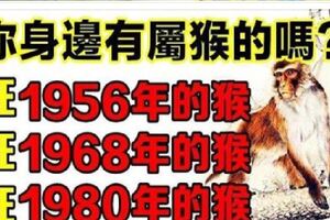 你身邊有屬猴的嗎？1956年，1968年，1980年的生肖猴，一生一世的命運神准