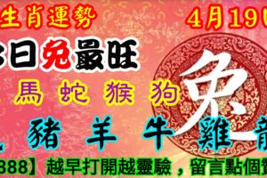 2019年4月19日，星期五農歷三月十五（己亥年戊辰月丙戌日）