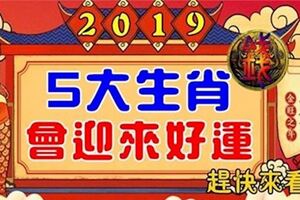 「運勢」苦盡甘來！2019年裡，五大生肖總會迎來各種「好運」