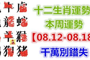 十二生肖運勢：本周運勢【08.12-08.18】千萬別錯失！