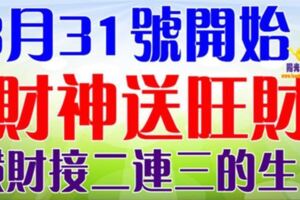 8月31號開始財神送旺財，橫財接二連三的生肖