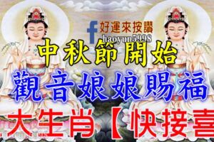 中秋節開始，觀音娘娘賜福【九大生肖快接喜】