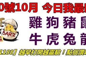 10號10月，今日我最旺！雞狗豬鼠牛虎兔龍！【11188】越早打開越靈驗！點個讚吧！