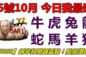 15號10月，今日我最旺！牛虎兔龍蛇馬羊猴！【15088】越早打開越靈驗！點個讚吧！