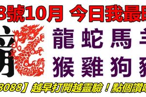 18號10月，今日我最旺！龍蛇馬羊猴雞狗豬！【18088】越早打開越靈驗！點個讚吧！