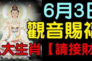 今日6月3號觀音賜福，八大生肖（接財啦）