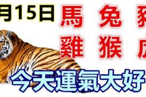 6月15號生肖運勢_馬、兔、豬大吉