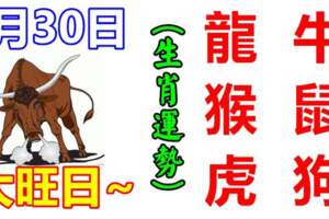6月30日生肖運勢_龍、牛、猴大吉