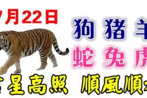 7月22日生肖運勢_狗、豬、羊大吉