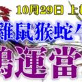 10月29日雞、鼠、猴、蛇、牛、虎！上榜請留言8468【鴻運當頭】