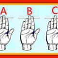 心理測試：伸出右手看看你和哪種手型最像，測試你多少歲可以發財