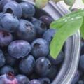 藍莓和青梅，哪種更適合春季吃？營養師：女性吃它對身體有好處