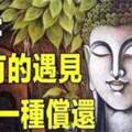 佛說：「前世不欠，今生不見」所有的遇見，都是一種償還