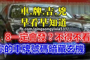 6、8一定會發？你的車牌號碼暗藏玄機，不得不看！