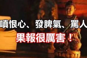 嗔恨心、發脾氣、罵人果報很厲害！