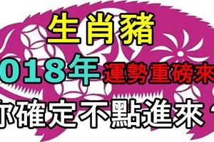 生肖豬2018年運勢重磅來襲！你確定不點進來？