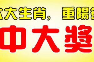 這六大生肖，10月28日重陽節，最會中大獎！真金白銀入口袋！