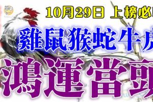 10月29日雞、鼠、猴、蛇、牛、虎！上榜請留言8468【鴻運當頭】