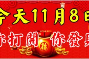 今天是11月8日你打開你發財！