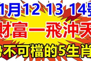 11月121314號3天，這些生肖勢不可檔，財富一飛沖天