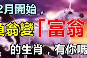 12月開始不為錢操心，「負翁」變「富翁」的生肖