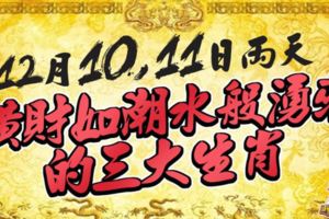 12月10，11號連續2天，橫財如潮水般湧來的三大生肖