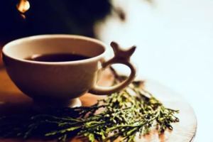 把握科學的飲茶法，泡出一杯養生保健茶