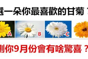 選一朵你最喜歡的甘菊？測你9月份會有啥驚喜？