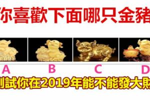 你喜歡下面哪只金豬，測試你在2019年能不能發大財