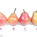 心理測試：四個梨你會吃哪一個、看看你最不願離開誰？超准的