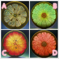 心理測試：4片橙子，哪片是鹹的？測你2018年哪方面運勢最好！