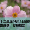 十二星座6月11日運勢：靈感多，發揮穩定