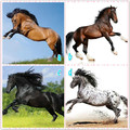 心理測試：哪匹馬的野性最彪悍？測十年後的你和現在一樣窮嗎？准