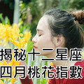 揭秘十二星座四月桃花指數