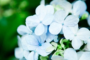 每天都渴求新鮮感的星座TOP4