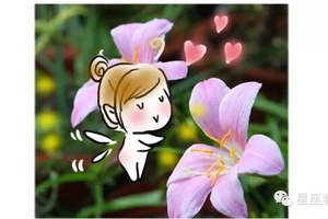 為什麼一定要和雙子座談戀愛？