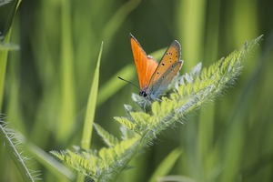 心理測試：測測2016年的你能鹹魚翻身嗎