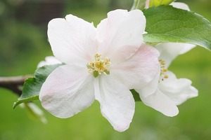 十二星座愛情裡的是是非非，恩恩怨怨，有你嗎？