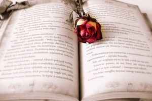 12星座談戀愛前一定要看這個