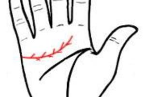 從手相解析愛情命格，打開手心看一看吧