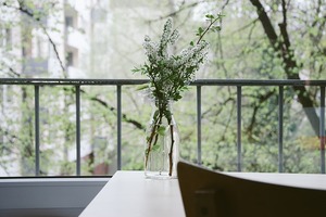 陽台千萬不要出現的三種物品，你中槍了嗎？