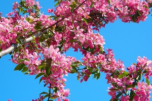 到老都有人追！出生在這6天的人命中【桃花旺】 