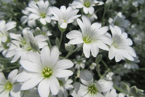 Victor 塔羅占卜預測12星座10月22日運勢