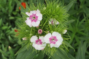 【十二星神運】十二星座10月22日運勢 白羊機會挑戰並存 天蠍不建議跳槽