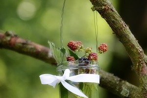 【海百合每日星語】1109天秤座花掉積蓄；天蠍座自尋煩惱