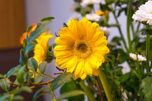 【海百合每日星语】1222天秤座陷入苦恼；天蝎座需要支持