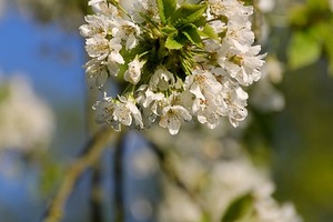 ２０１７開春即將鹹魚翻身的四大星座，有你嗎？